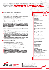 Licence AEI CI