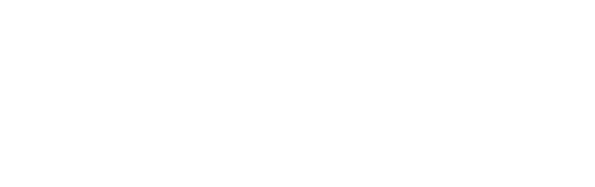 LOGO AEI IS